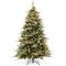 Casafield Pre-Lit Aspen Fir Christmas Tree with White & Multicolored LED Lights, Realistic Artificial Noble Fir with Sturdy Stand